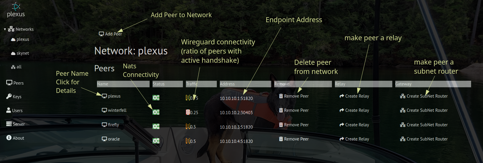Network Details